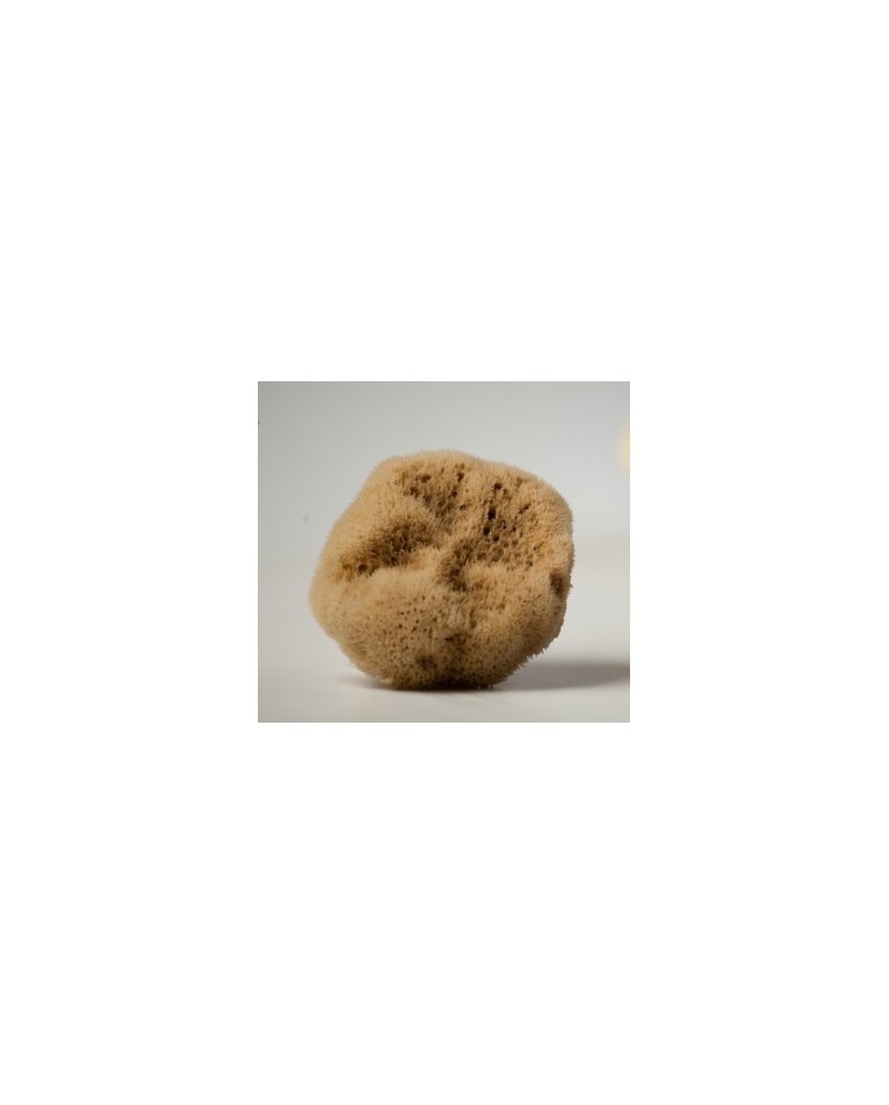 Φυσικό σφουγγάρι Καλύμνου φίνο 7.5-8.5cm