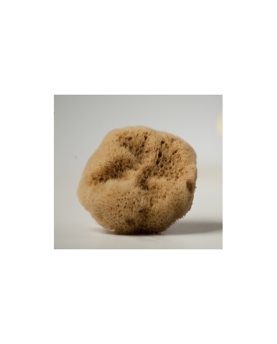 Natural Mediterranean Silk sponge 7.5-8.5cm