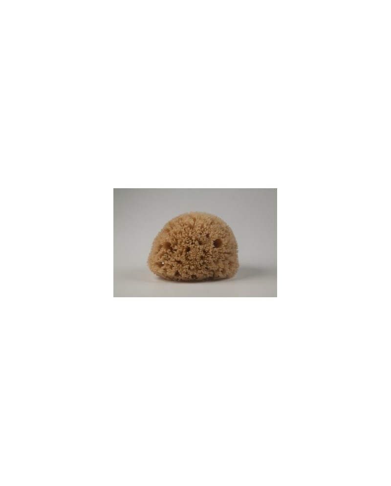 Φυσικό σφουγγάρι Καλύμνου φίνο 7.5-8.5cm