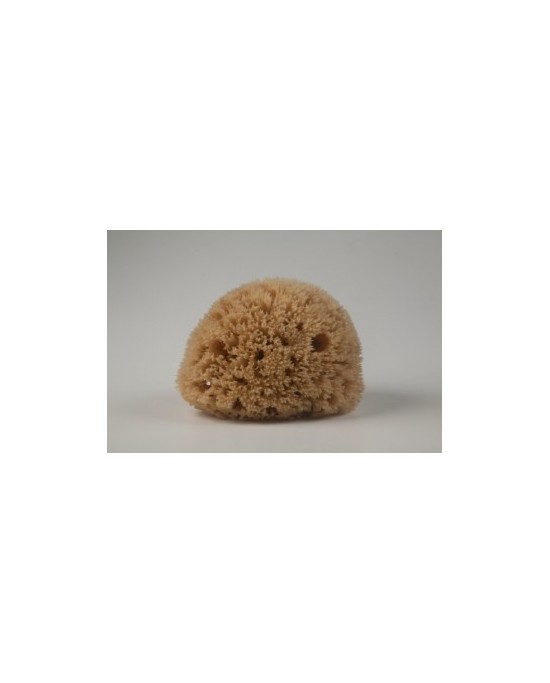 Natural Mediterranean Silk sponge 7.5-8.5cm